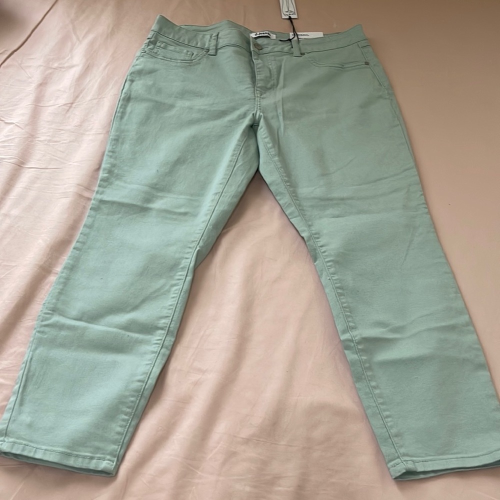 Pastel Green Ankle Jean